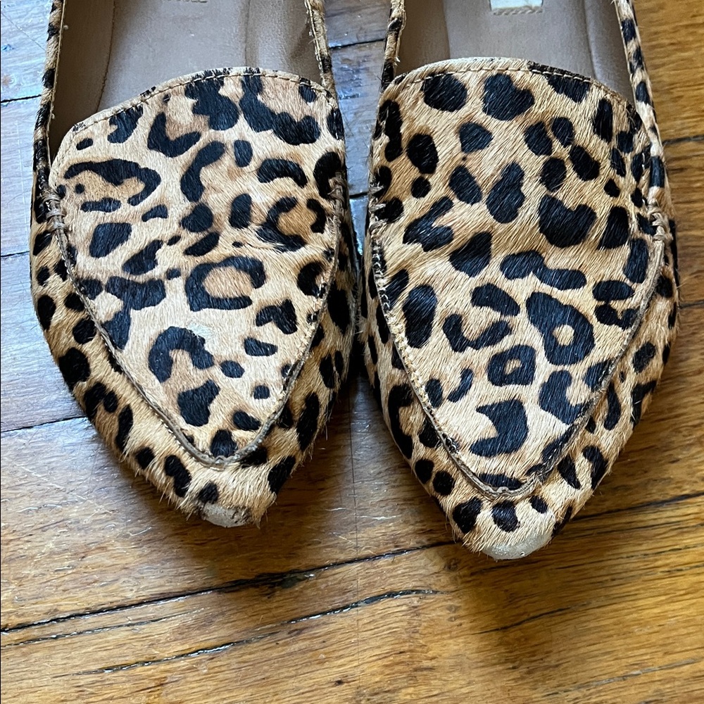 Steve Madden Leopard-Print Pointed Flats - Black, Tan - Picture 3 of 3